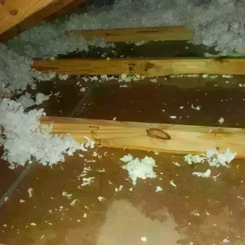 Attic Water Damage in Edgecomb, ME